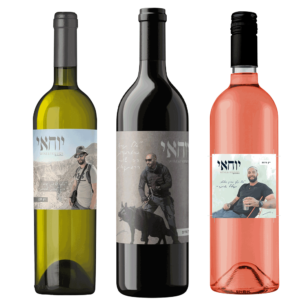 מארז-יין-לזכר-יוחאי-אבני