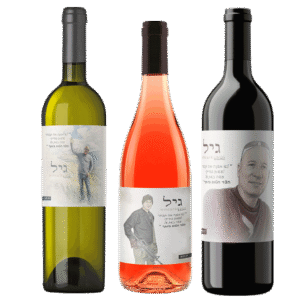 מארז-יין-לזכר-גיל-אביטל